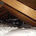What is the Cost of Professional Duct Repair in Pembroke Pines, FL?
